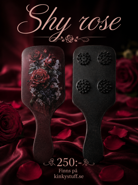 Shy rose